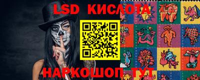 PSILOCYBIN Кунгур