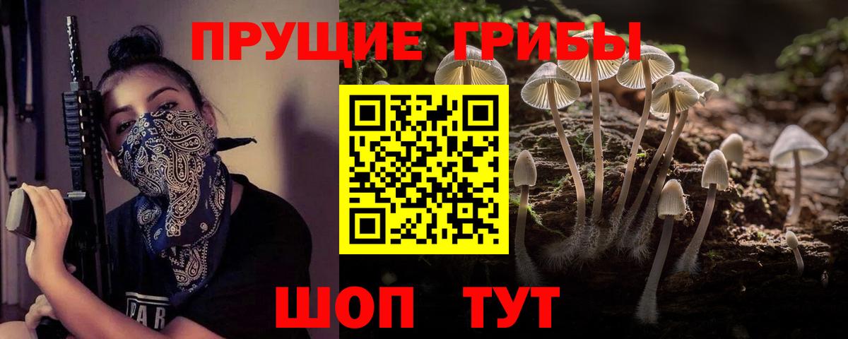 Галлюциногенные грибы GOLDEN TEACHER  где продают наркотики  Вход с VPN  Йошкар-Ола  Псилоцибиновые грибы мицелий 